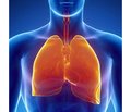 Медикаментозное управление окислительно-восстановительным состоянием организма  при заболеваниях органов дыхания  (часть 6)