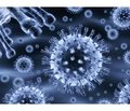 Сучасні погляди на роль респіраторної інфекції  в перебігу алергічних захворювань у дітей:  місце бактеріальних лізатів