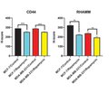 Рапаміцин знижує експресію рецепторів гіалуронану в клітинних лініях раку молочної залози MCF-7 та MDA-MB-231