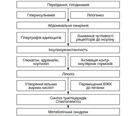 Чи потрібен діагноз «метаболічний синдром»?