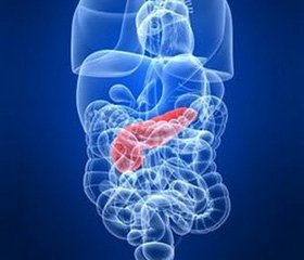 Патоморфогенез синдрома кишечной недостаточности при остром панкреатите