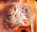 ВІЛ/СНІД-асоційований туберкульоз легень у хворих на рецидив туберкульозу: гематологічні та біохімічні особливості