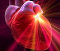 «Умные» стволовые клетки в лечении пациентов с сердечной недостаточностью
